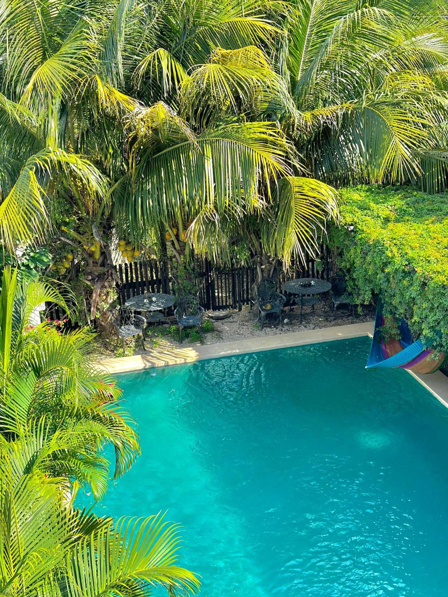 Jaiba - Adults Only Mahahual