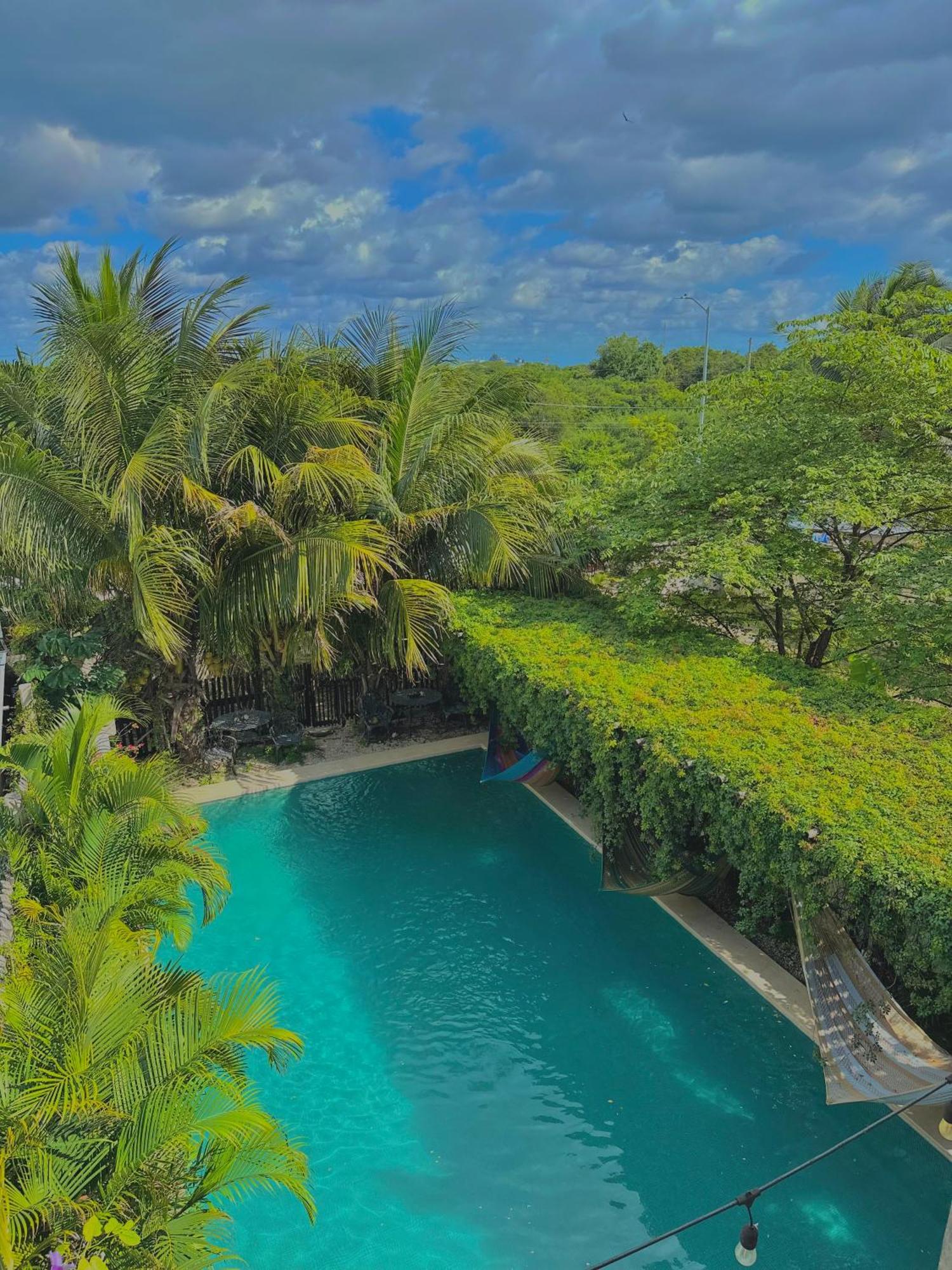 Jaiba - Adults Only Hotel