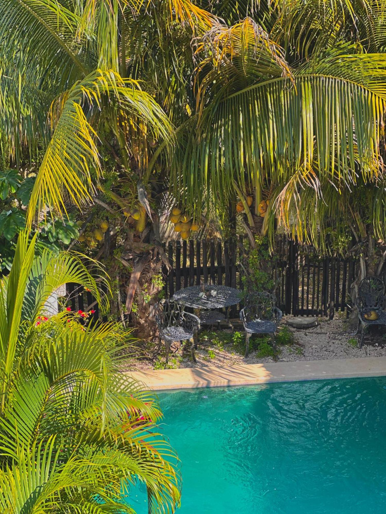 Jaiba - Adults Only 3* Mahahual