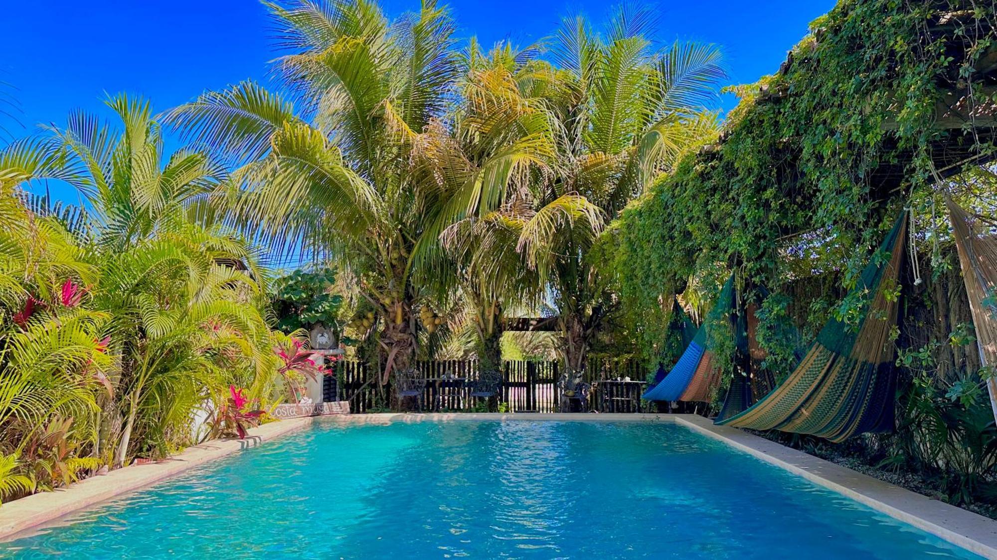 Jaiba - Adults Only Hotel